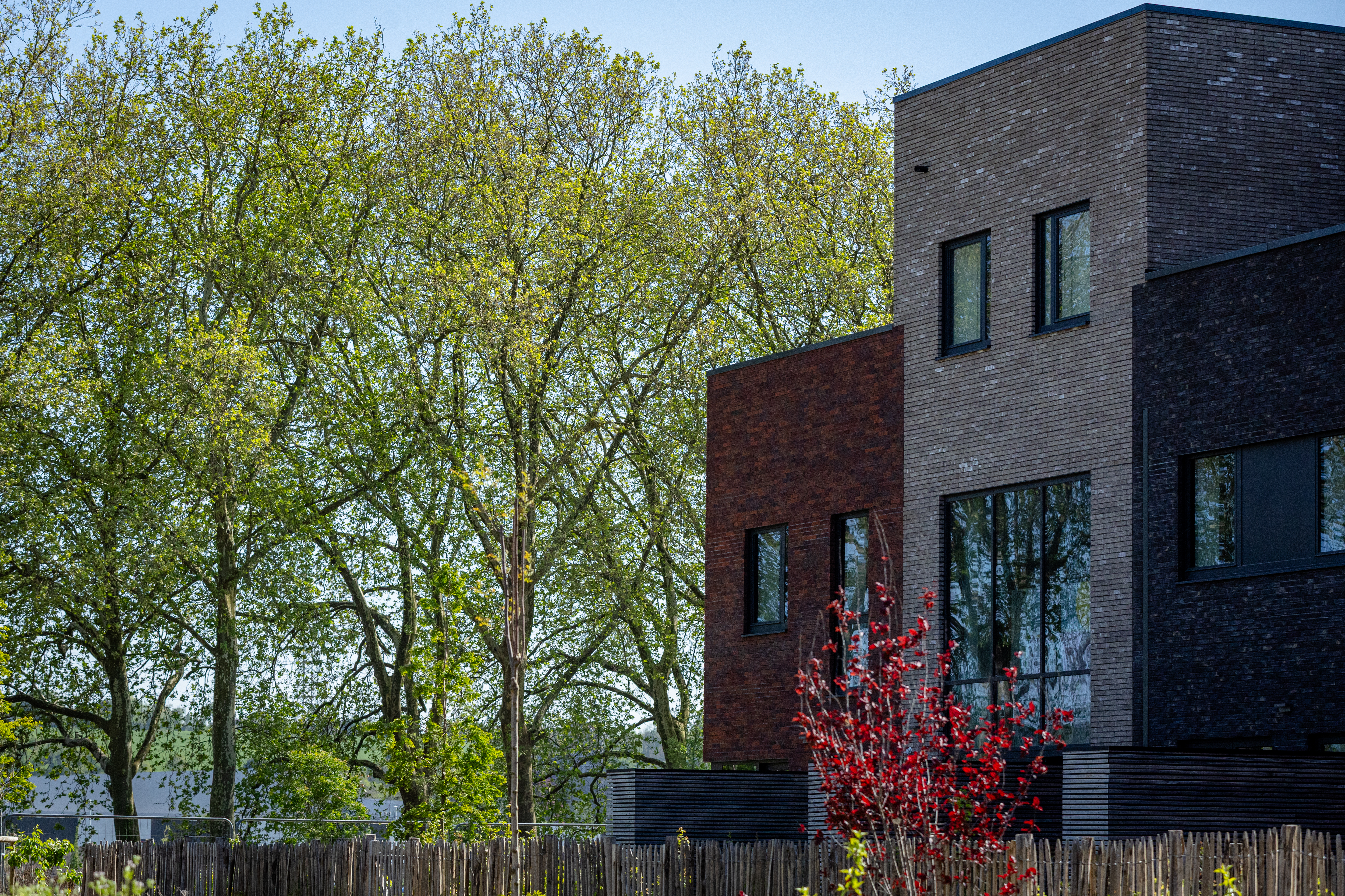 Maisons du Parc RIVES-ARDENTES-20260428-054